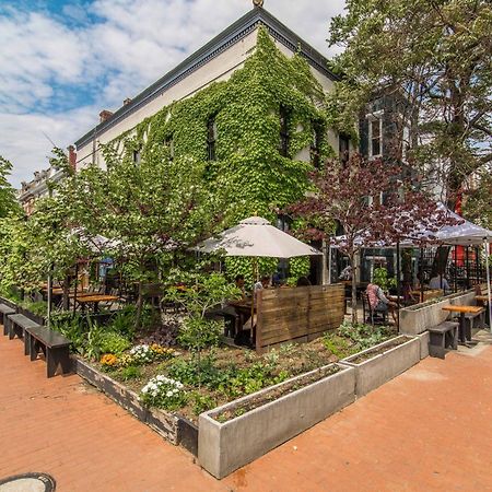 Stylish Renovated Flat, Central, Walk To Dc Sights Washington Eksteriør bilde