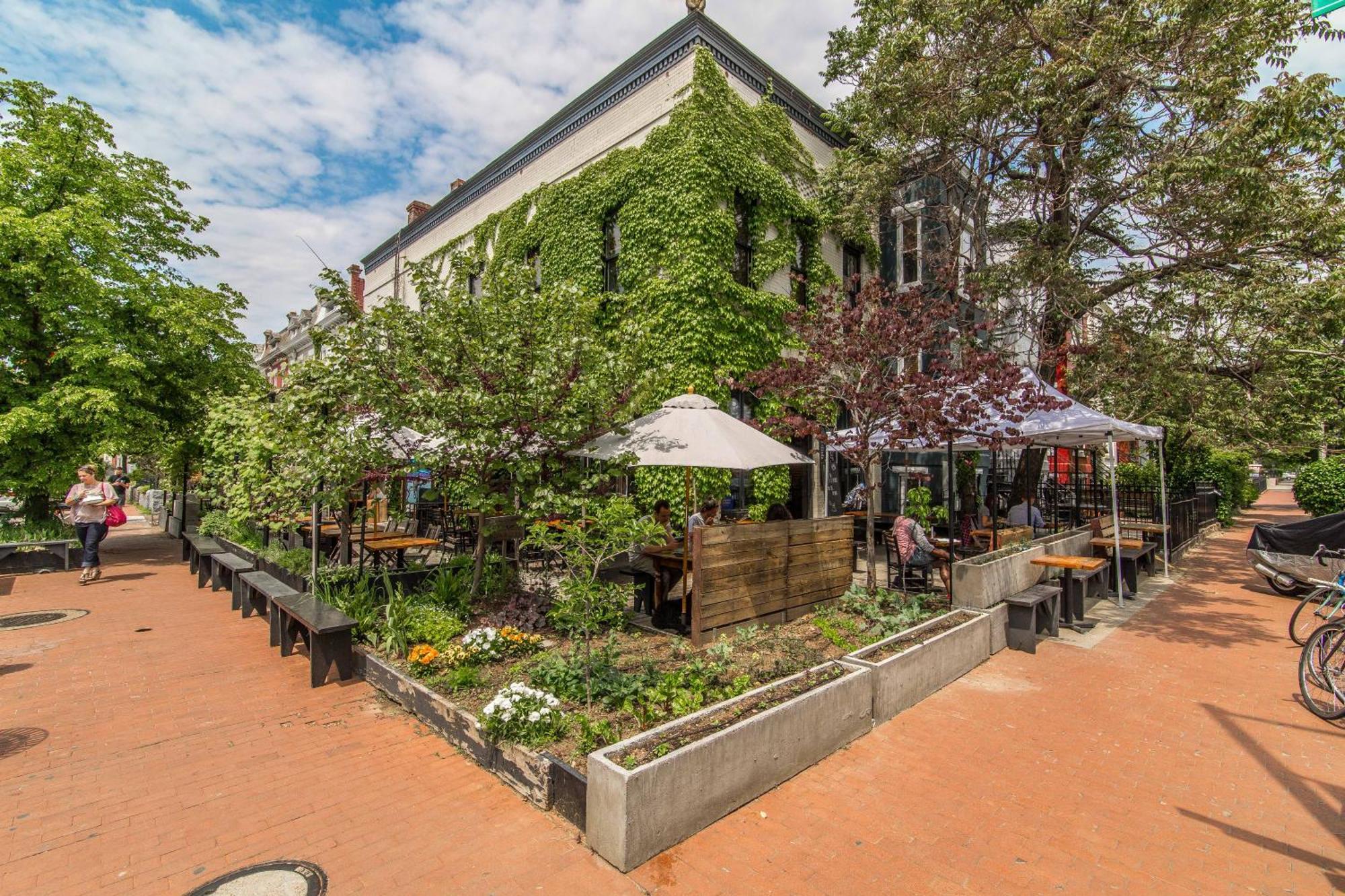 Stylish Renovated Flat, Central, Walk To Dc Sights Washington Eksteriør bilde